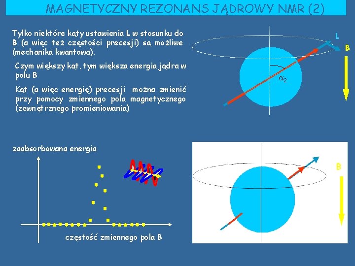 MAGNETYCZNY REZONANS JĄDROWY NMR (2) Tylko niektóre kąty ustawienia L w stosunku do B MAGNETYCZNY REZONANS JĄDROWY NMR (2) Tylko niektóre kąty ustawienia L w stosunku do B