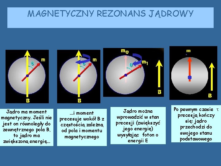 MAGNETYCZNY REZONANS JĄDROWY Jądro ma moment magnetyczny. Jeśli nie jest on równoległy do zewnętrznego MAGNETYCZNY REZONANS JĄDROWY Jądro ma moment magnetyczny. Jeśli nie jest on równoległy do zewnętrznego