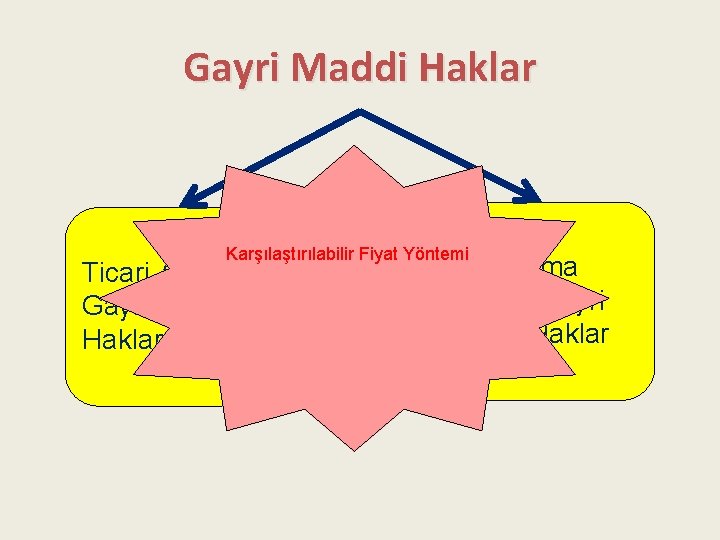 Gayri Maddi Haklar Karşılaştırılabilir Fiyat Yöntemi Ticari Amaçlı Gayri Maddi Haklar Pazarlama Amaçlı Gayri