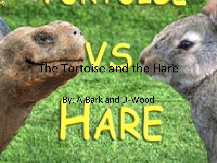 The Tortoise and the Hare By: A-Bark and D-Wood 