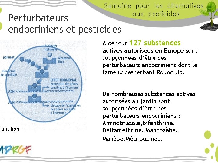 Perturbateurs endocriniens et pesticides ustration A ce jour 127 substances actives autorisées en Europe