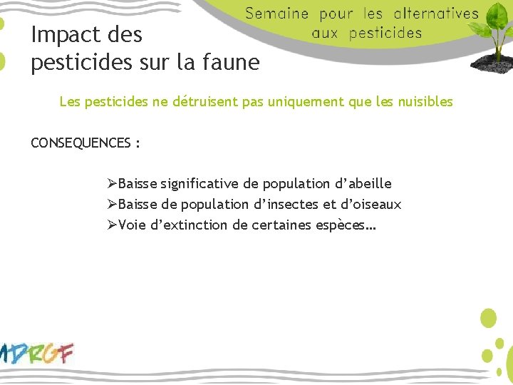 Impact des pesticides sur la faune Les pesticides ne détruisent pas uniquement que les