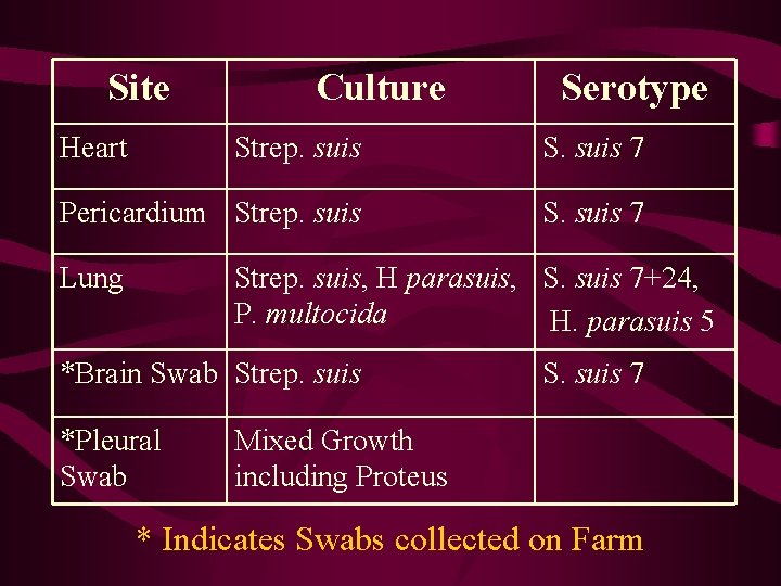 Site Heart Culture Serotype Strep. suis S. suis 7 Pericardium Strep. suis S. suis