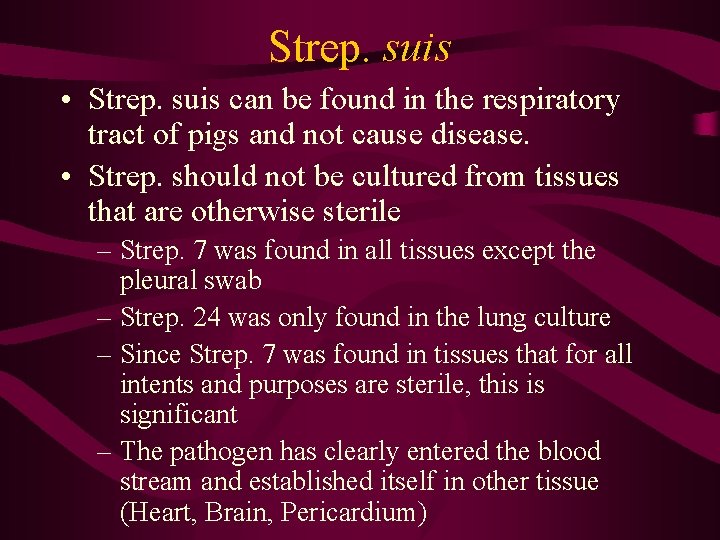 Strep. suis • Strep. suis can be found in the respiratory tract of pigs