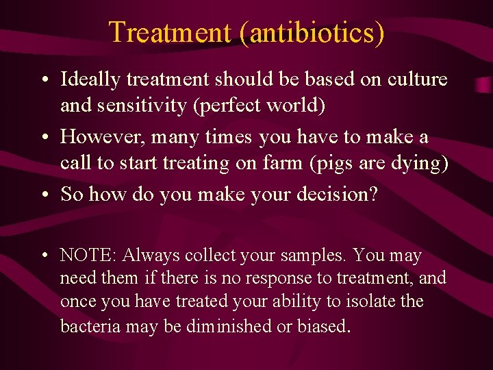Treatment (antibiotics) • Ideally treatment should be based on culture and sensitivity (perfect world)