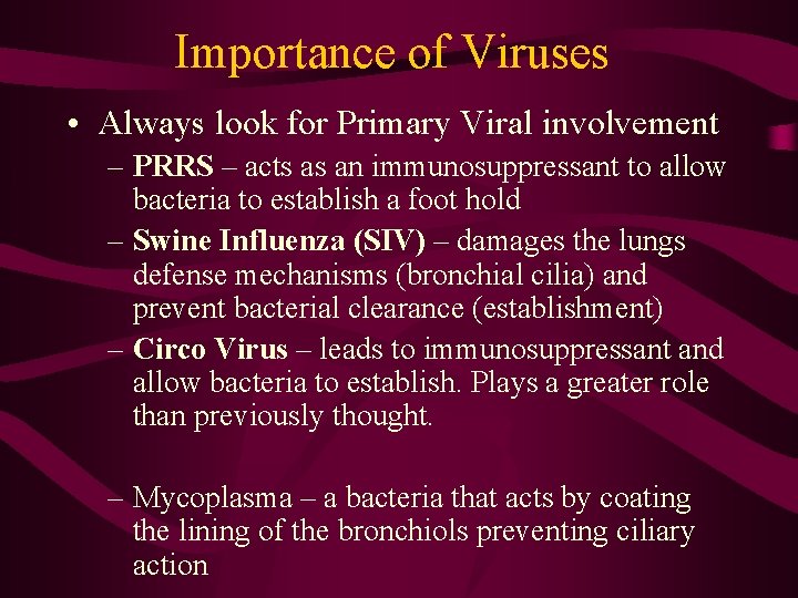 Importance of Viruses • Always look for Primary Viral involvement – PRRS – acts
