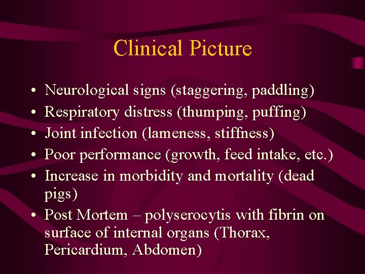 Clinical Picture • • • Neurological signs (staggering, paddling) Respiratory distress (thumping, puffing) Joint