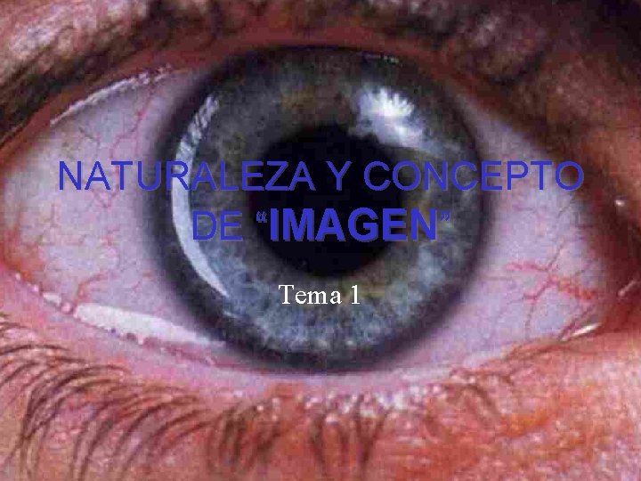 NATURALEZA Y CONCEPTO DE “IMAGEN” Tema 1 