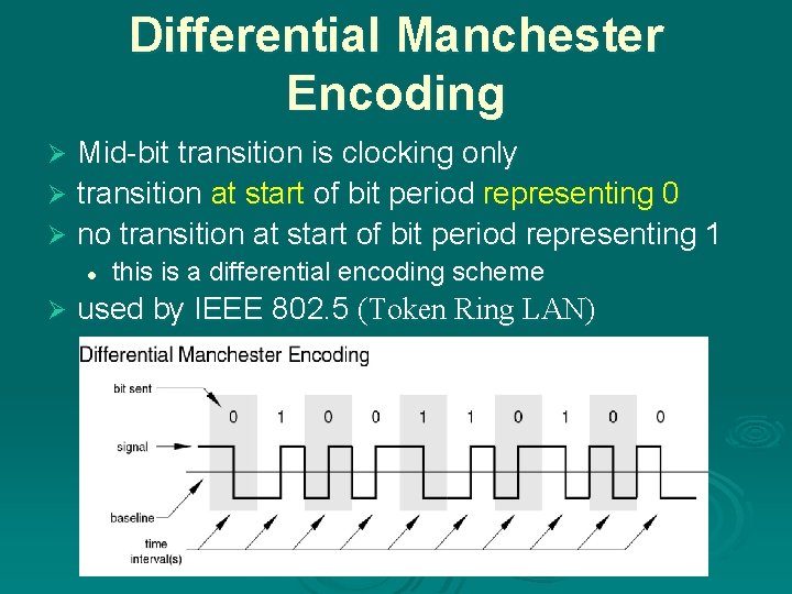 Differential Manchester Encoding Mid-bit transition is clocking only Ø transition at start of bit