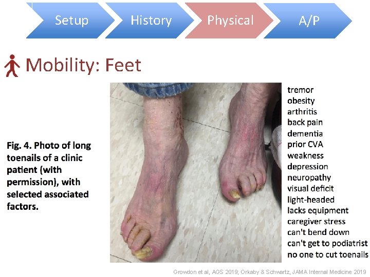Setup History Physical A/P Mobility: Feet Function Feet A Geriatrics Lens on Caring for