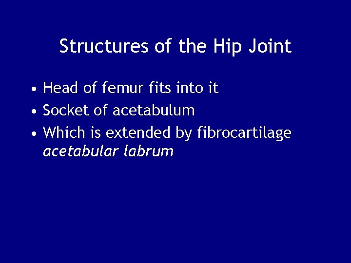 Structures of the Hip Joint • Head of femur fits into it • Socket