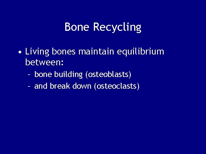 Bone Recycling • Living bones maintain equilibrium between: – bone building (osteoblasts) – and