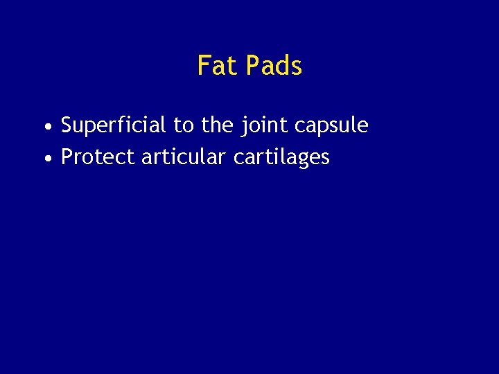 Fat Pads • Superficial to the joint capsule • Protect articular cartilages 