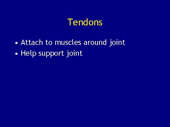 Tendons • Attach to muscles around joint • Help support joint 