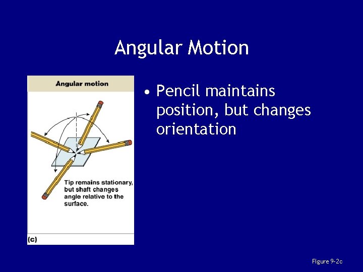 Angular Motion • Pencil maintains position, but changes orientation Figure 9– 2 c 