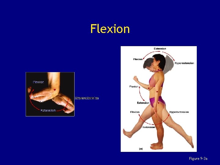 Flexion Figure 9– 3 a 