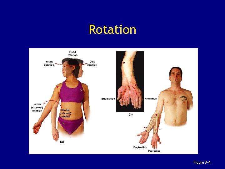 Rotation Figure 9– 4 
