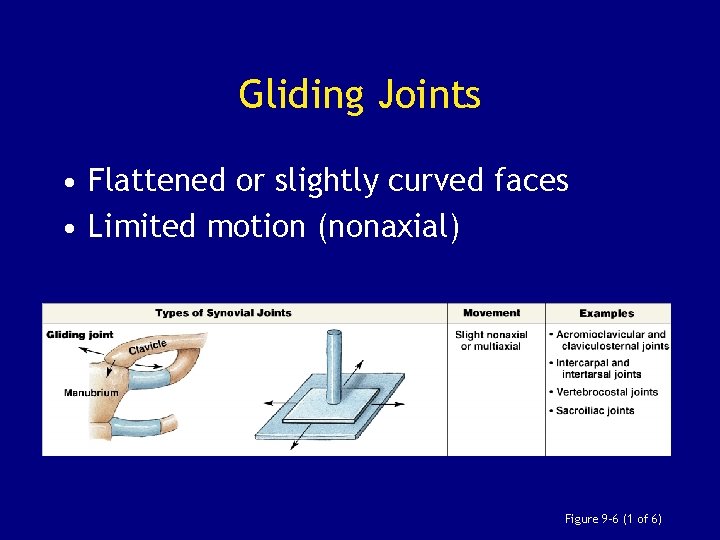 Gliding Joints • Flattened or slightly curved faces • Limited motion (nonaxial) Figure 9–
