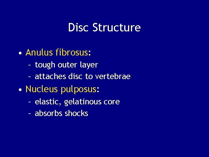 Disc Structure • Anulus fibrosus: – tough outer layer – attaches disc to vertebrae