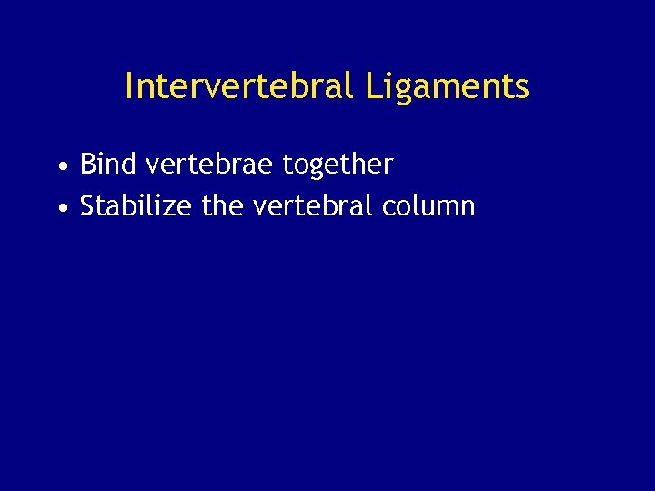Intervertebral Ligaments • Bind vertebrae together • Stabilize the vertebral column 