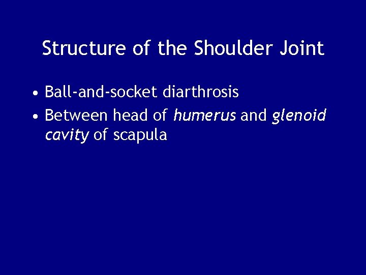 Structure of the Shoulder Joint • Ball-and-socket diarthrosis • Between head of humerus and