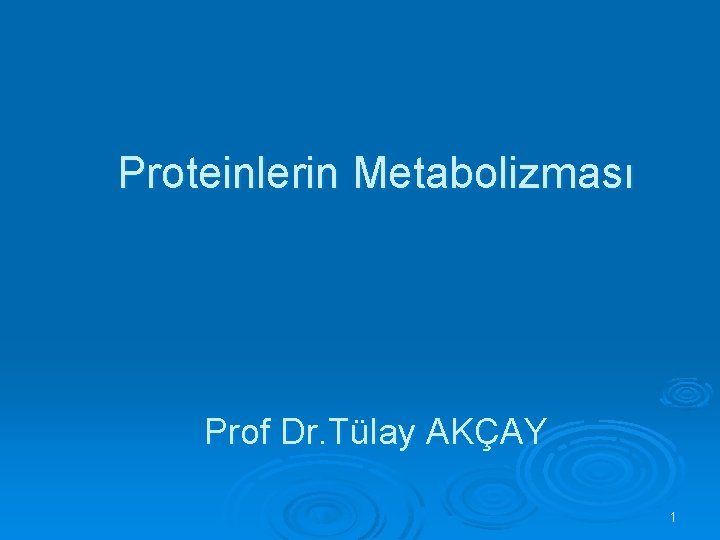 Proteinlerin Metabolizması Prof Dr. Tülay AKÇAY 1 