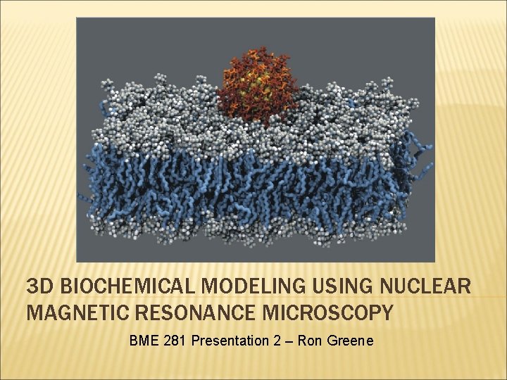 3 D BIOCHEMICAL MODELING USING NUCLEAR MAGNETIC RESONANCE MICROSCOPY BME 281 Presentation 2 –
