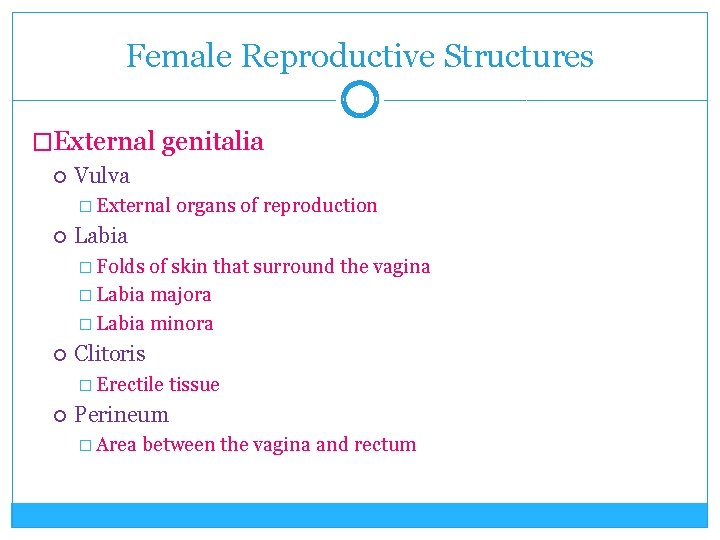 Female Reproductive Structures �External genitalia Vulva � External organs of reproduction Labia � Folds