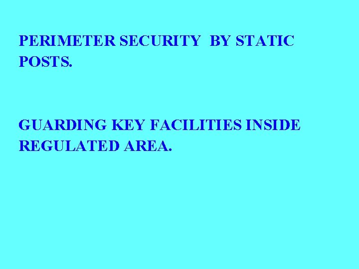 PERIMETER SECURITY BY STATIC POSTS. GUARDING KEY FACILITIES INSIDE REGULATED AREA. 