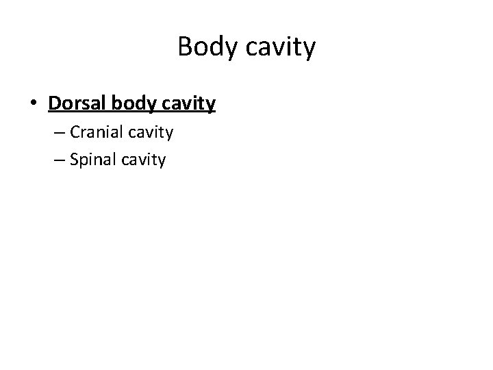 Body cavity • Dorsal body cavity – Cranial cavity – Spinal cavity Body cavity • Dorsal body cavity – Cranial cavity – Spinal cavity