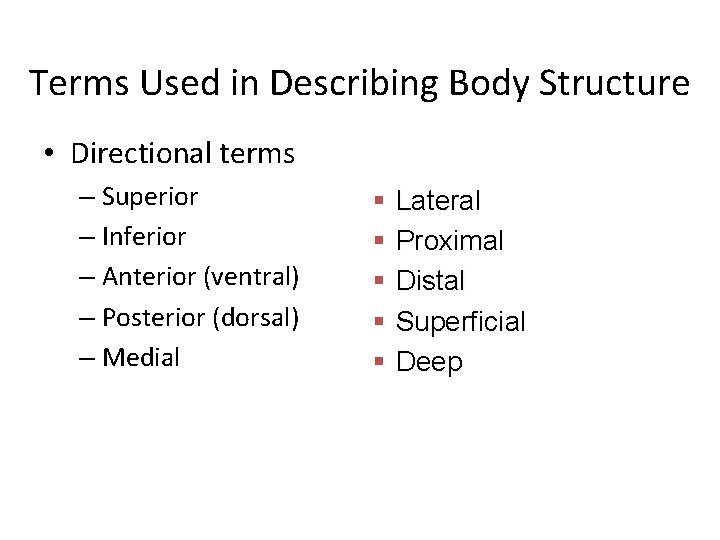 Terms Used in Describing Body Structure • Directional terms – Superior – Inferior – Terms Used in Describing Body Structure • Directional terms – Superior – Inferior –