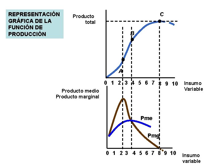 REPRESENTACIÓN GRÁFICA DE LA FUNCIÓN DE PRODUCCIÓN C Producto total B A 0 1