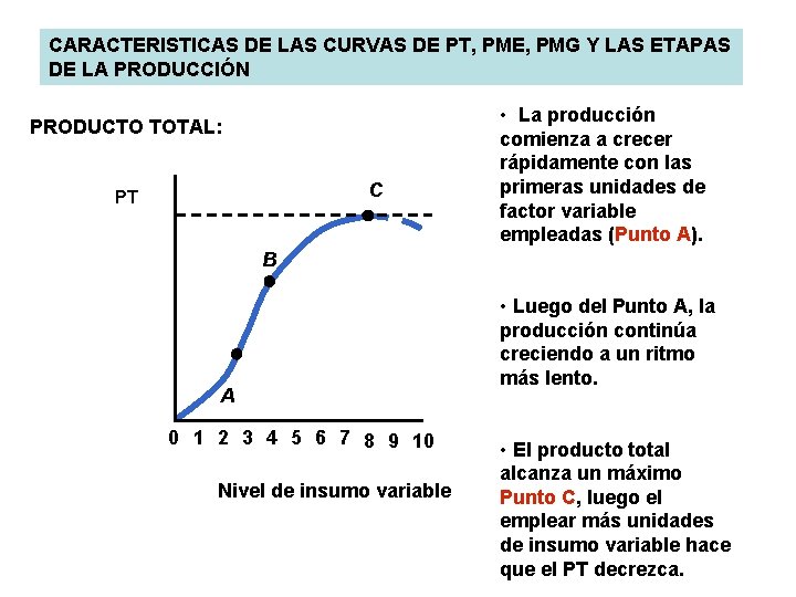 CARACTERISTICAS DE LAS CURVAS DE PT, PME, PMG Y LAS ETAPAS DE LA PRODUCCIÓN