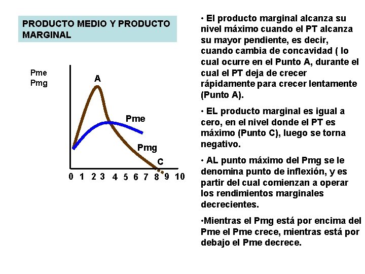 PRODUCTO MEDIO Y PRODUCTO MARGINAL Pme Pmg A • El producto marginal alcanza su