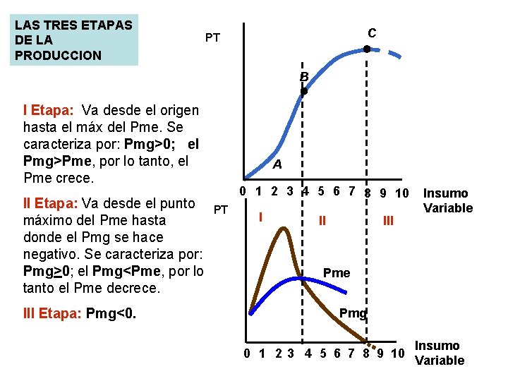 LAS TRES ETAPAS DE LA PRODUCCION C PT B I Etapa: Va desde el