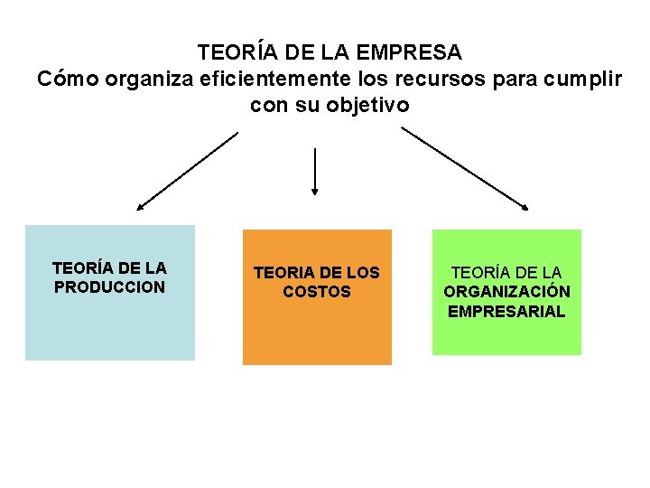 TEORÍA DE LA EMPRESA Cómo organiza eficientemente los recursos para cumplir con su objetivo