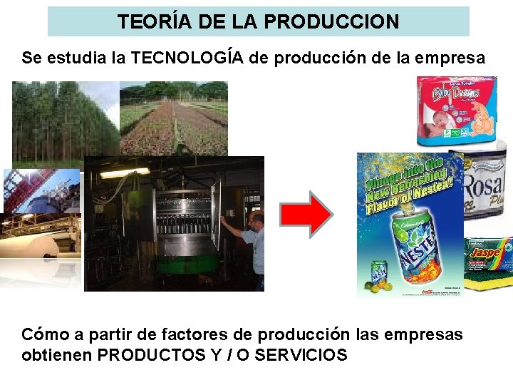 TEORÍA DE LA PRODUCCION Se estudia la TECNOLOGÍA de producción de la empresa Cómo