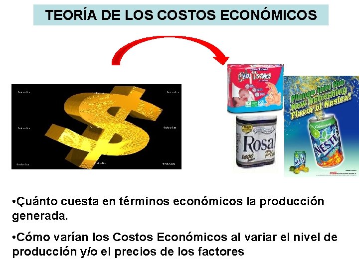 TEORÍA DE LOS COSTOS ECONÓMICOS • Çuánto cuesta en términos económicos la producción generada.