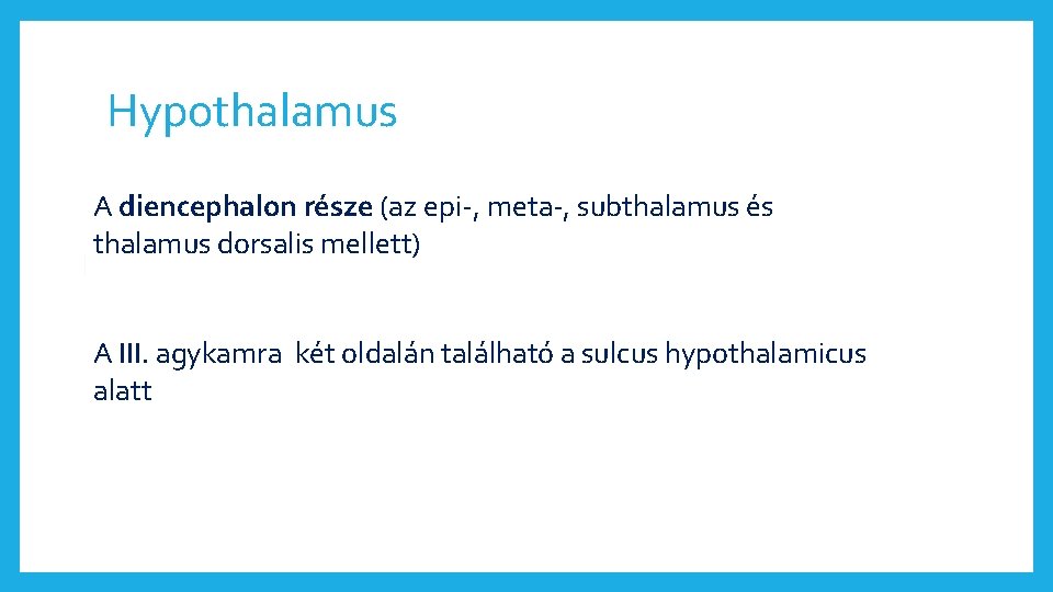 Hypothalamus A diencephalon része (az epi-, meta-, subthalamus és thalamus dorsalis mellett) A III.