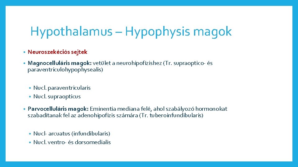 Hypothalamus – Hypophysis magok • Neuroszekéciós sejtek • Magnocelluláris magok: vetület a neurohipofízishez (Tr.