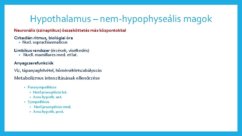 Hypothalamus – nem-hypophyseális magok Neuronális (szinaptikus) összeköttetés más központokkal Cirkadián ritmus, biológiai óra •