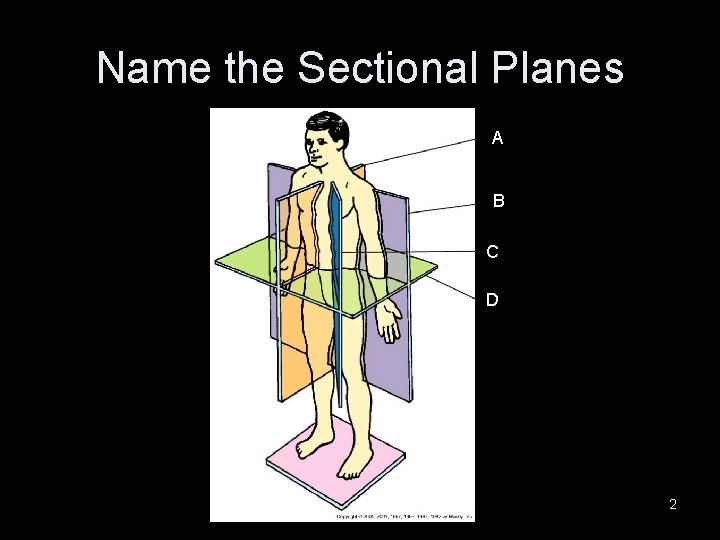 Name the Sectional Planes A B C D 2 