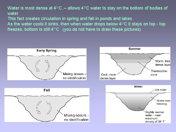 Water is most dense at 4 OC. – allows 4 OC water to stay