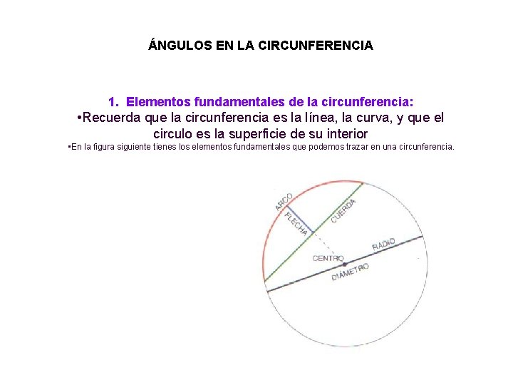 ÁNGULOS EN LA CIRCUNFERENCIA 1. Elementos fundamentales de la circunferencia: • Recuerda que la