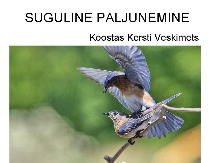 SUGULINE PALJUNEMINE Koostas Kersti Veskimets 