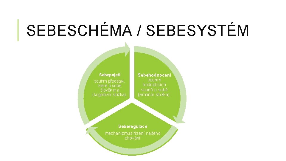 SEBESCHÉMA / SEBESYSTÉM Sebepojetí souhrn představ, které o sobě člověk má (kognitivní složka). Sebehodnocení