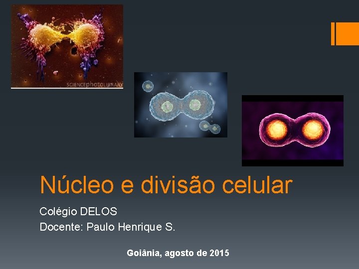 Núcleo e divisão celular Colégio DELOS Docente: Paulo Henrique S. Goiânia, agosto de 2015