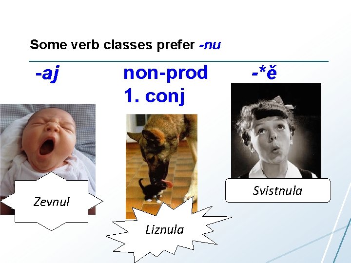 Some verb classes prefer -nu -аj non-prod 1. conj -*ě Svistnula Zevnul Liznula 