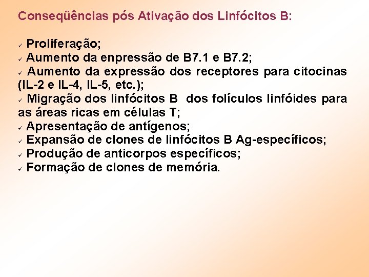 Conseqüências pós Ativação dos Linfócitos B: Proliferação; Aumento da enpressão de B 7. 1