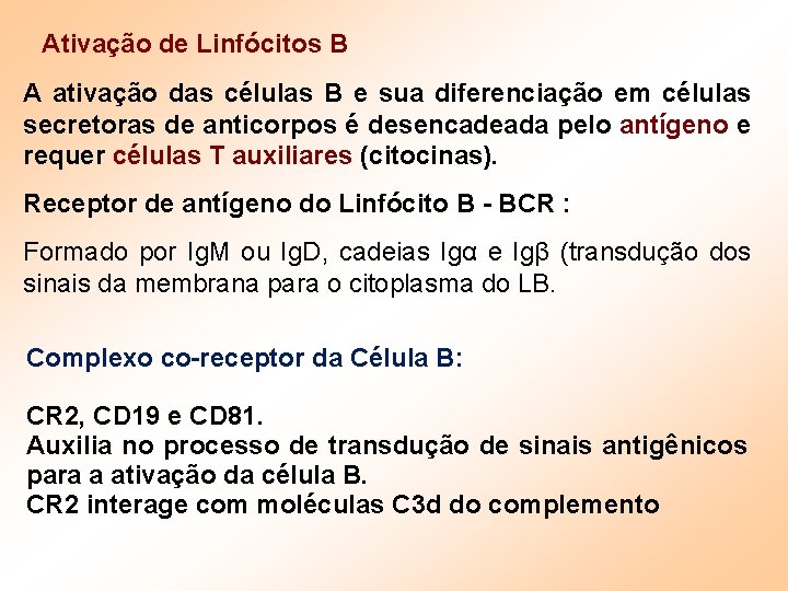 Ativação de Linfócitos B A ativação das células B e sua diferenciação em células